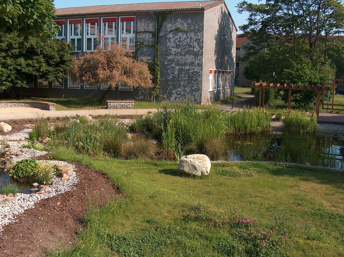 Modern gestalteter Teich mit Grünflächen vor einem Gebäude, Projekt von Berthold - Bau in Lauta.